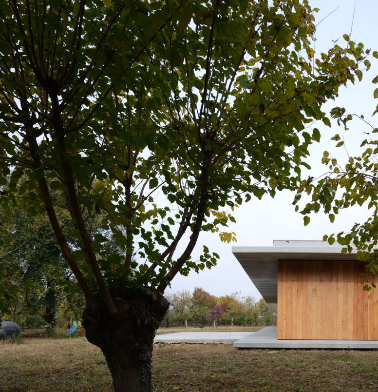 Contemporary single-level residence in Montebelluna, distinguished by minimalist elegance and a constant connection with nature.