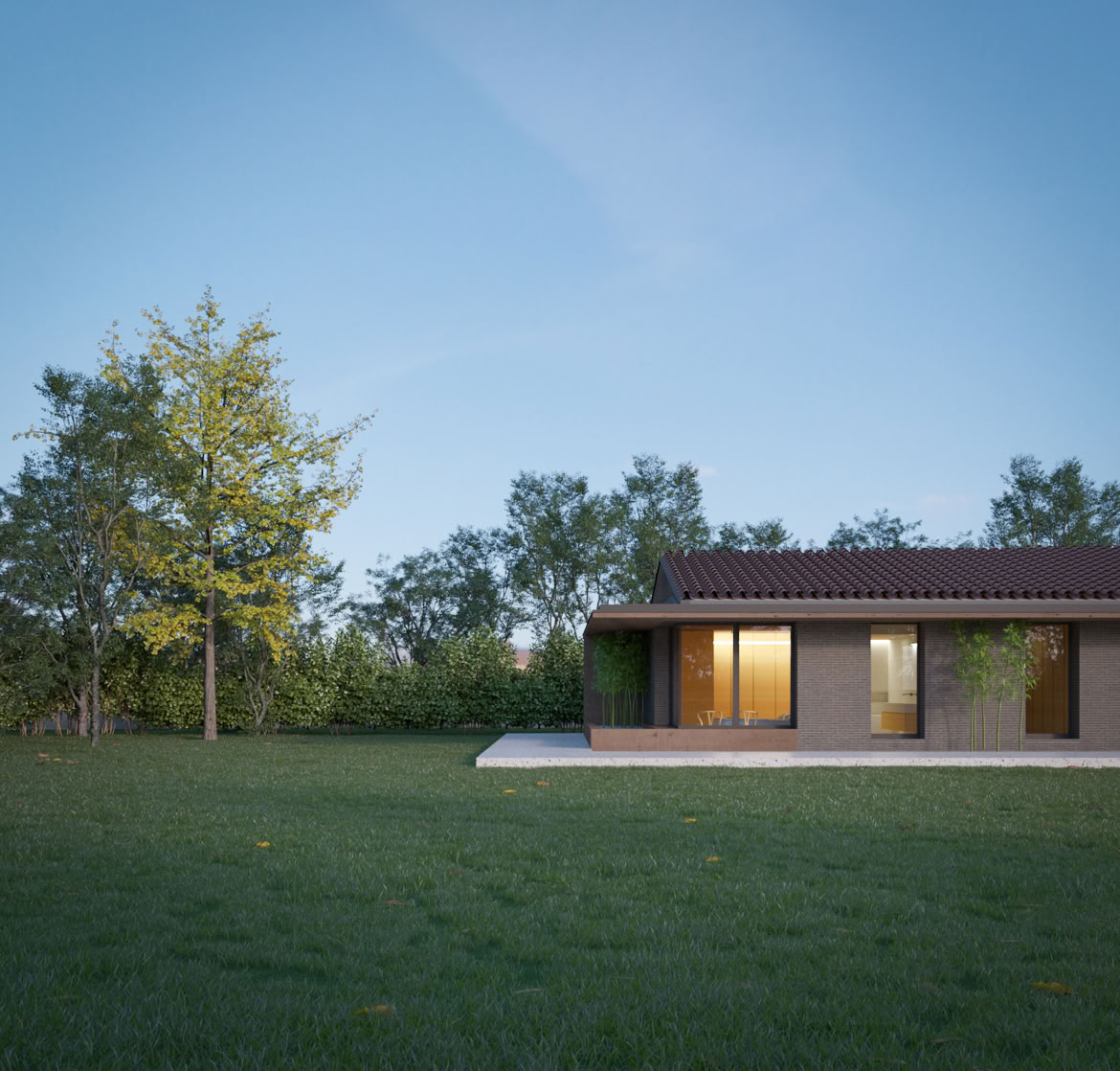 Single-level modern villa with garden and pitched roof, designed for comfort and style.