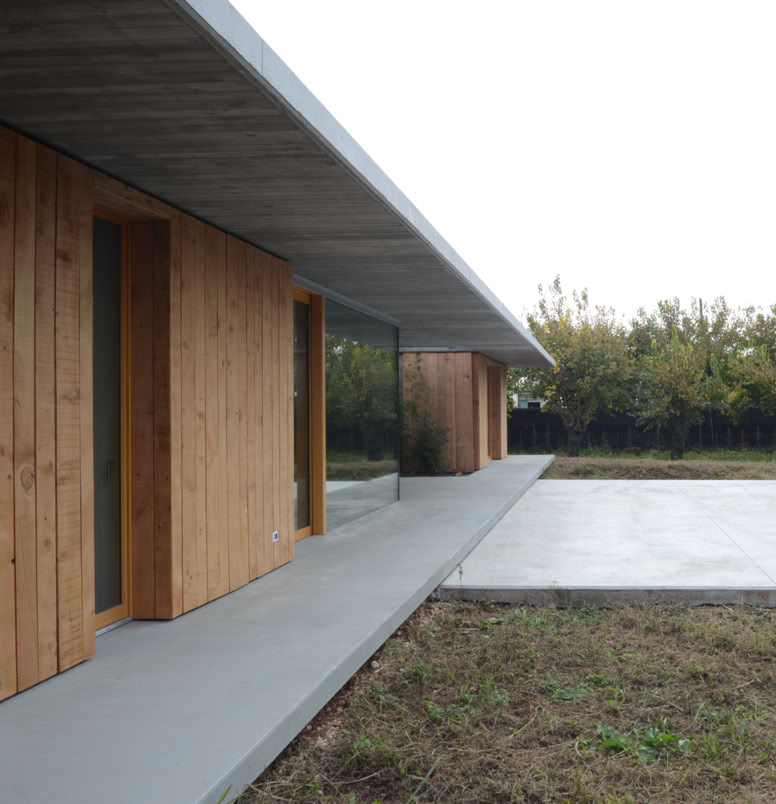 Exposed concrete finish used on ceilings and floors, harmoniously balanced with wooden cladding for a refined material contrast.