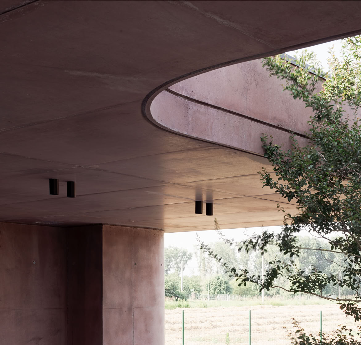 The soft curves of the villa by MIDE architetti accommodate shrubs and trees, creating a dialogue with the concrete surfaces.